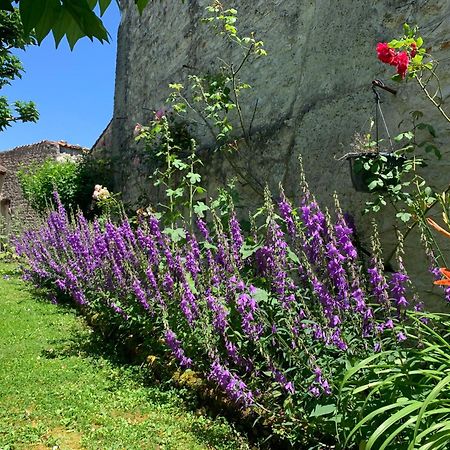 Bed and Breakfast The Cool Lounge A Coulonges - Charente Exterior foto