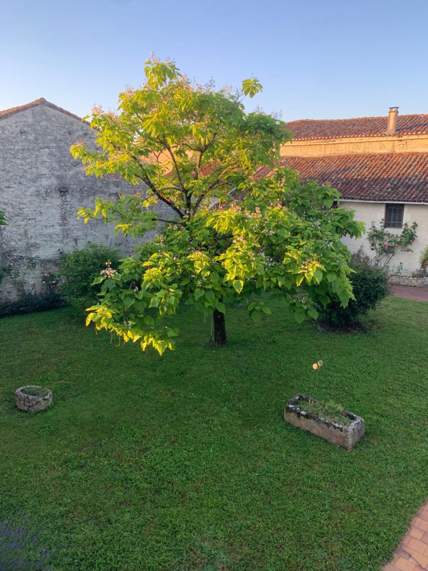 Bed and Breakfast The Cool Lounge A Coulonges - Charente Exterior foto